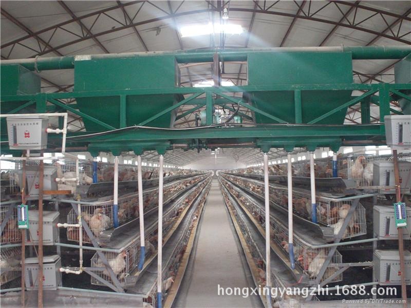 广东畜牧业公司的最新发展动态