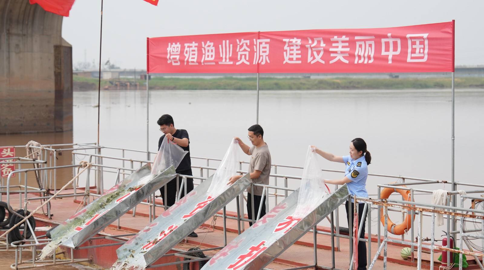 国龙畜牧